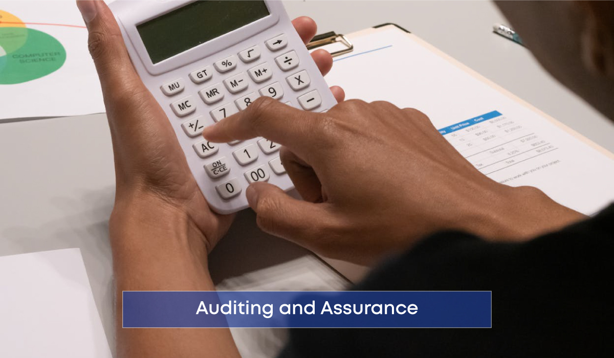 Auditing and Assurance