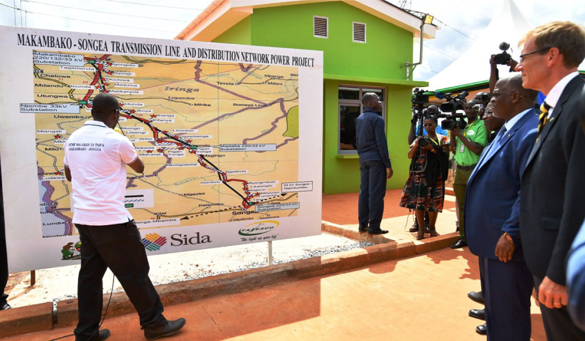 “Synergy in Growth: Navigating the Dynamics Between Tanzania’s Private and Public Sectors”